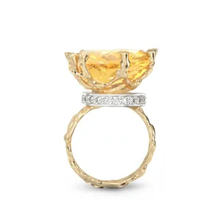 Golden Vow — photo 03